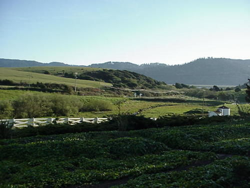 Point Reyes Vineyard Inn California City Εξωτερικό φωτογραφία