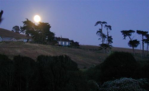 Point Reyes Vineyard Inn California City Εξωτερικό φωτογραφία