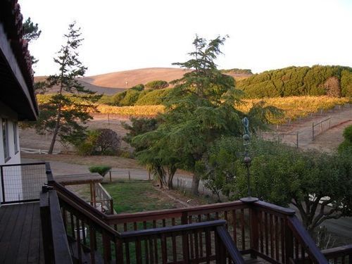 Point Reyes Vineyard Inn California City Εξωτερικό φωτογραφία